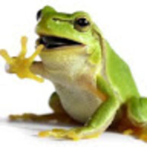 Meet your Posher, Katrina